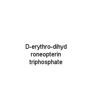 D-erythro-dihydroneopterin triphosphate